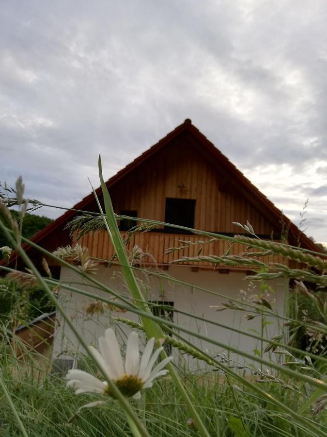 Bioferienhaus Muster - Dominkusch Possnitz Exterior photo